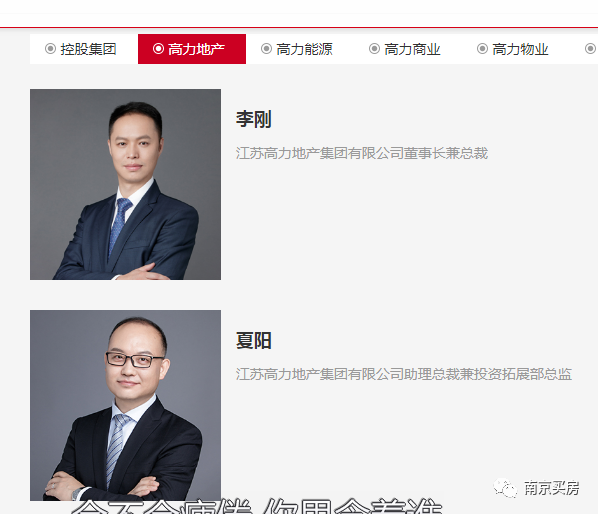 一提到高力集团,南京人最先想到的便是汽配城,家居港等业务,如今涉足