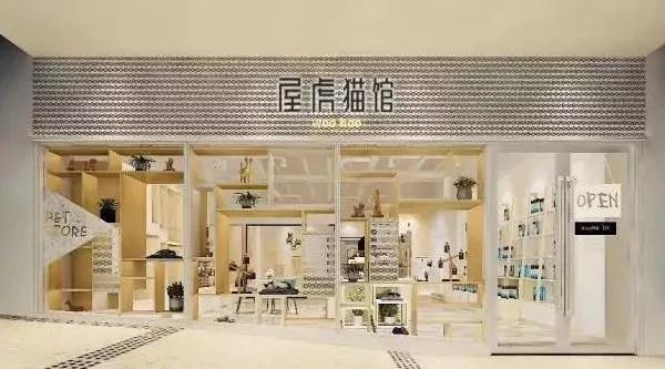 宠物食品品牌豆柴宠物完成数千万元a轮融资青桐资本担任独家财务顾问