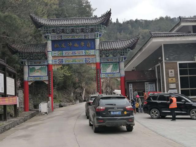 英山桃花冲森林公园景色绮丽林密幽深秀丽