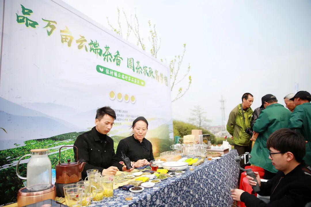 市领导蒋银生为佐村新茶直播吆喝佐村镇召开云端新茶发布会