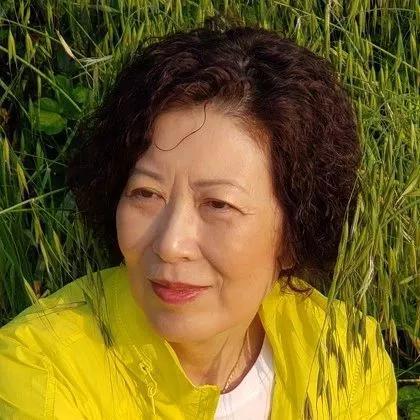 东皋书房 | 汪政:新农村,新儿童 ——评黄蓓佳的《奔跑的岱二牛》