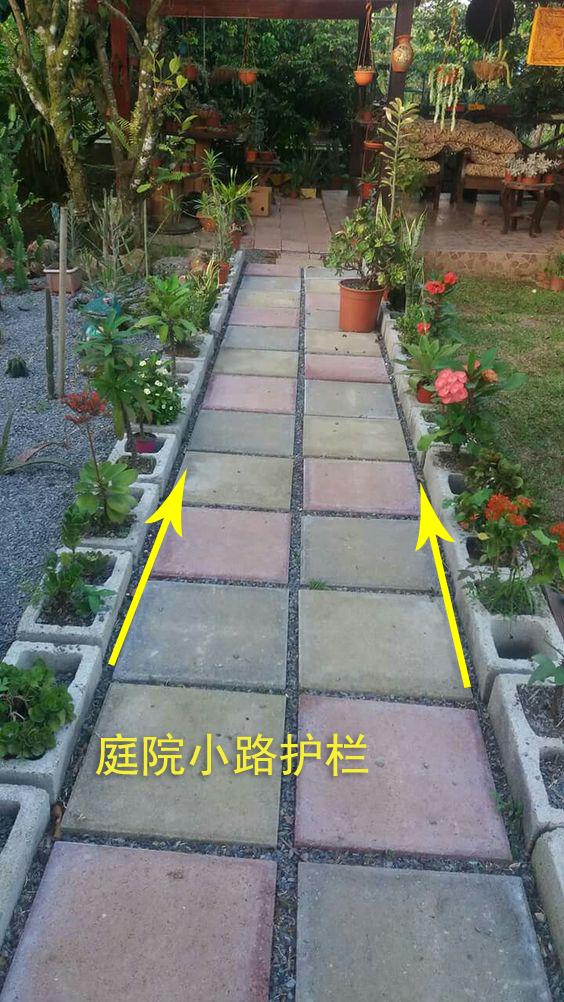 光秃秃院子太浪费,农村老爸用18块空心砖,改造成人见人爱的菜园_庭院