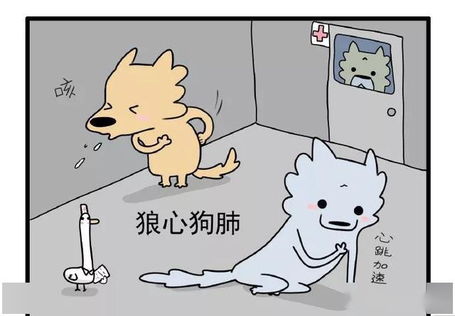 漫画关于狼的那些事