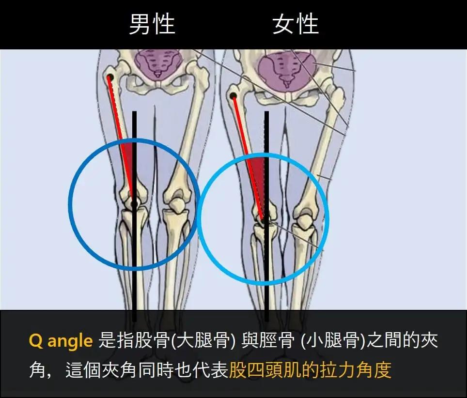 女性膝蓋疼痛普遍大於男性是為何?