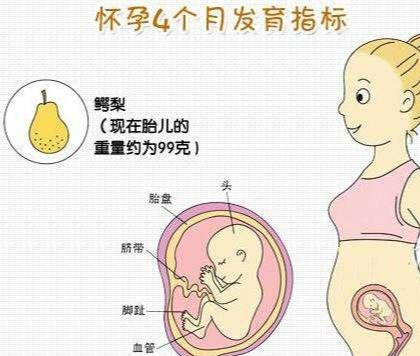 到底如何算孕周