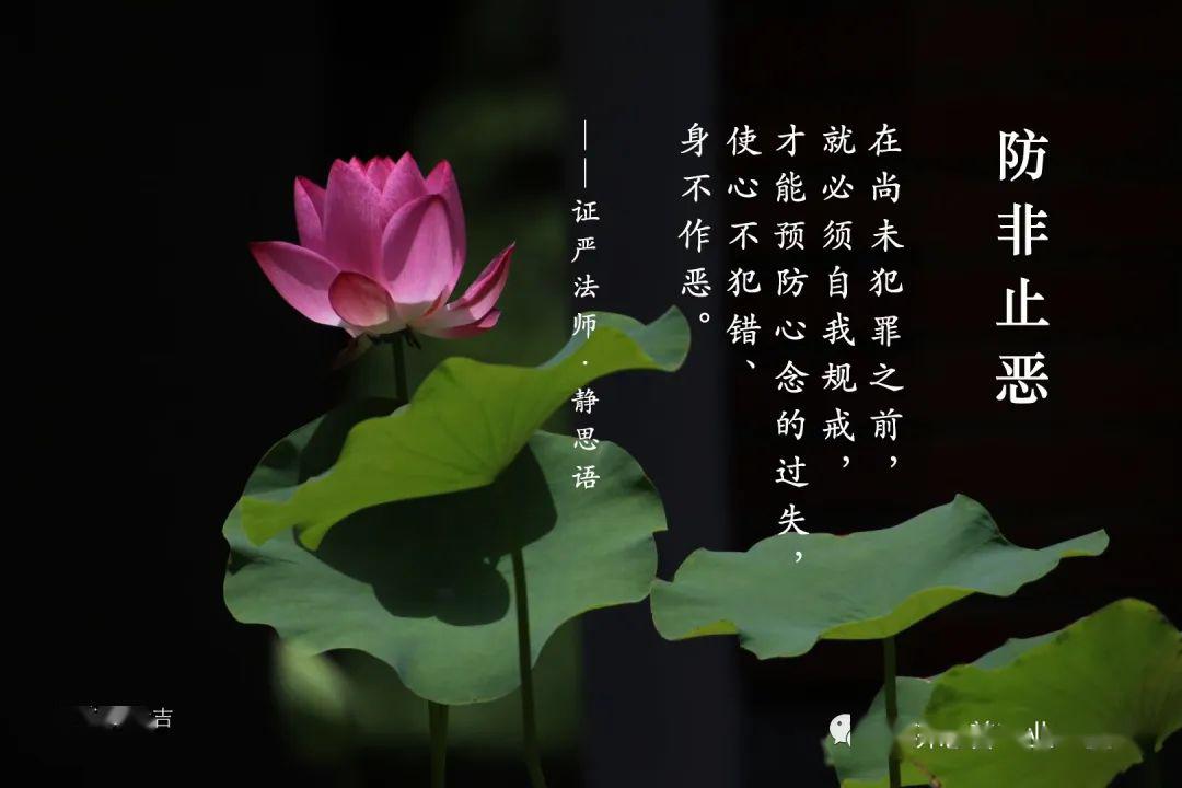 静思语防非止恶