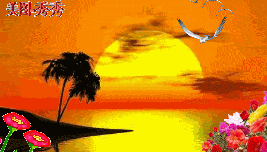 550_314gif 动态图 动图