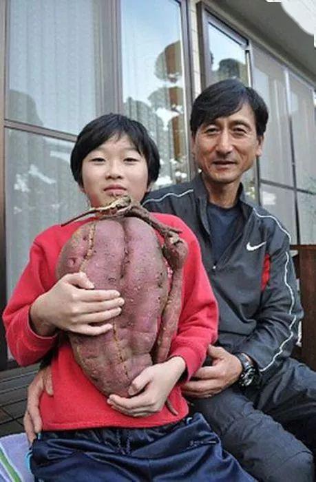 上海戏剧学院男子群舞鸿雁美翻了只发一次花多少钱也看不到