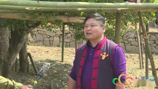 魏云祥 澜沧县安康乡党委书记有力推进安康有机茶的转换,结合茶产业的