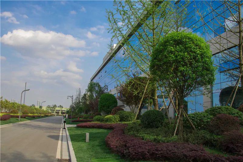 聚焦丨奋斗在春天里感受镜头下的通威太阳能花园式工厂