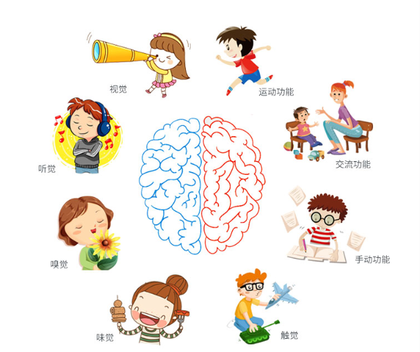 这只是呈现在问题的表象,问题实质是孩子的大脑,神经系统及身体协调