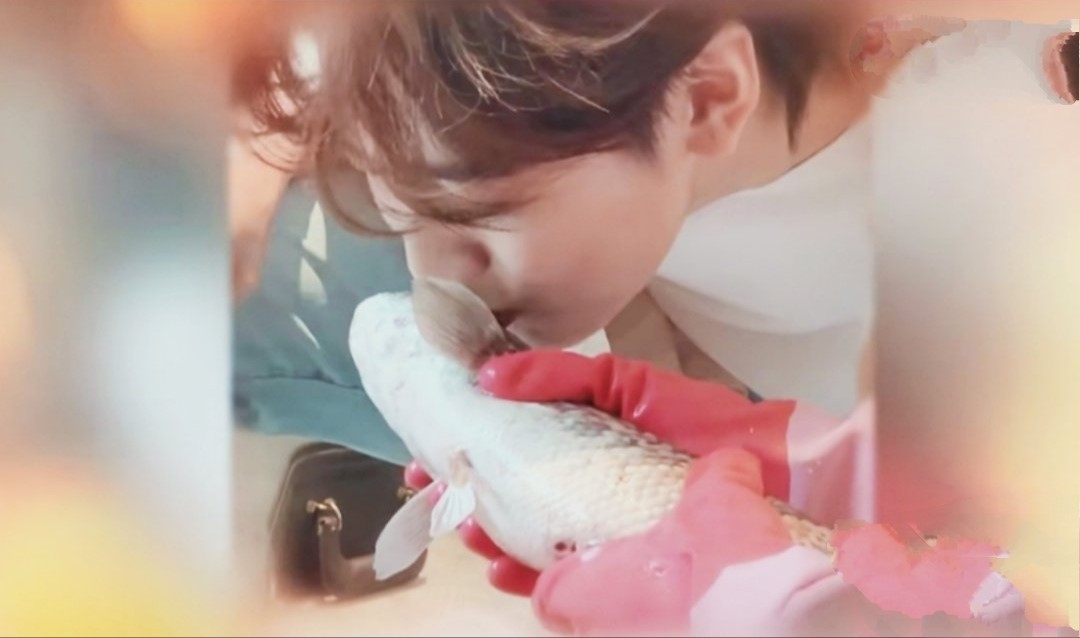 原创何洛洛初吻给了兔子焉栩嘉初吻给了鱼张艺兴初吻才叫离谱