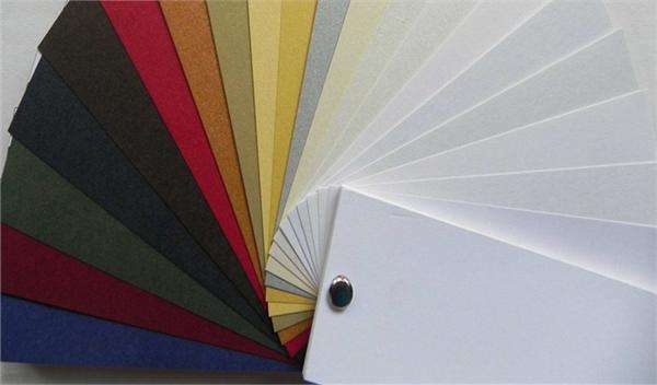 纸的4种秘密比如造纸一定要用树木吗