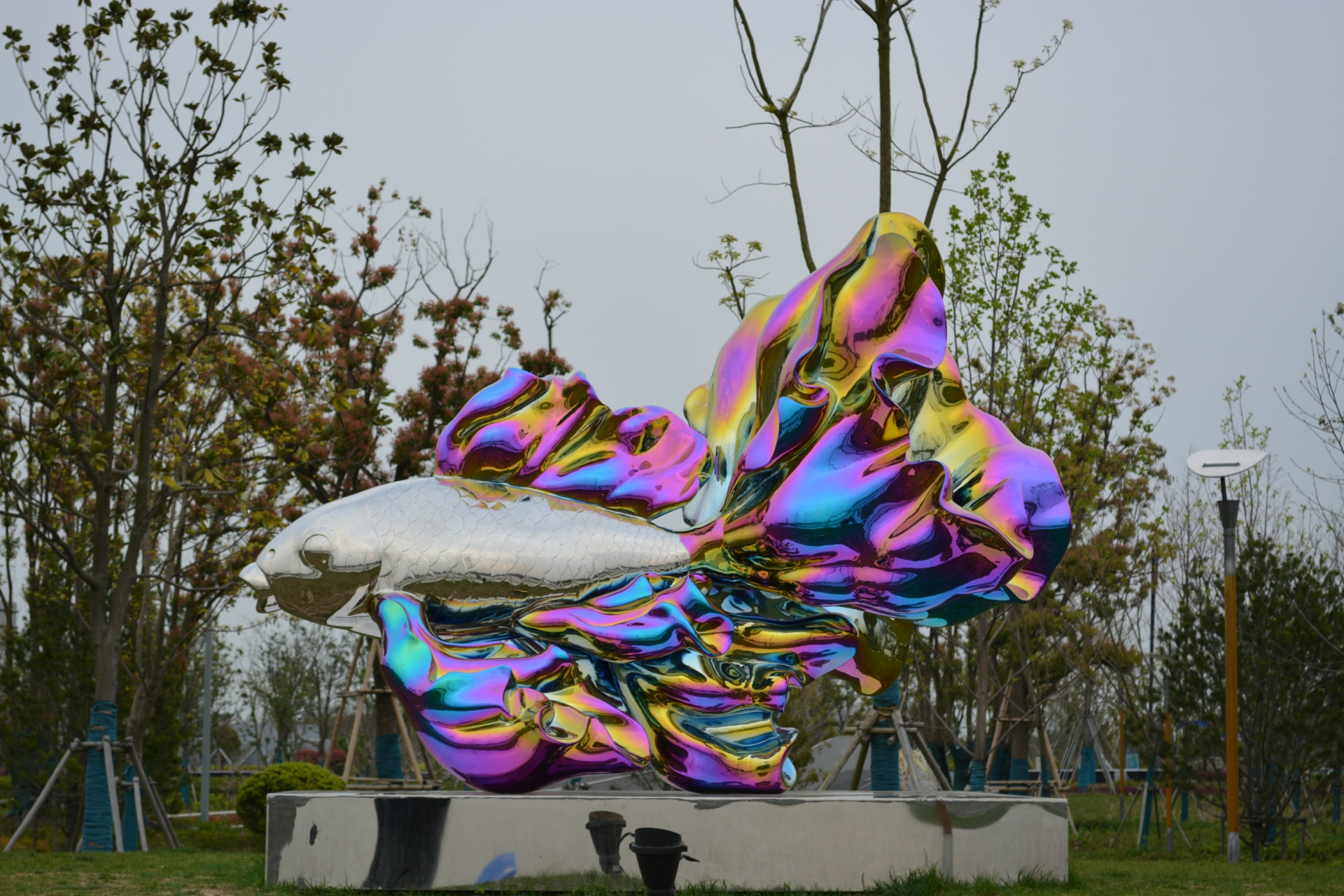 上海之鱼泡泡公园图片