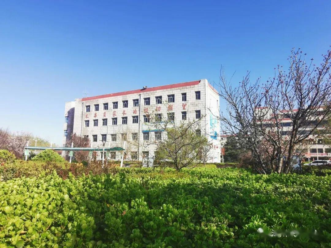 涿职丨陌上花开,等你归来!——涿州职教中心邀你云赏花(配乐版)