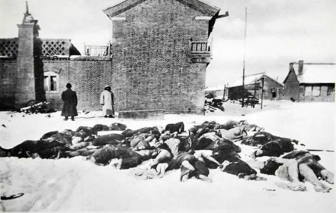 赵秀荣近代早期欧洲的鼠疫