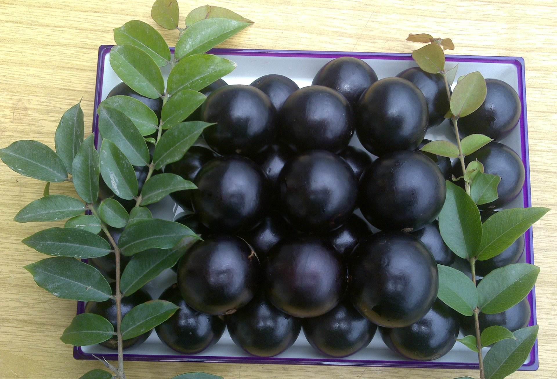 嘉宝果开花末结果怎么回事