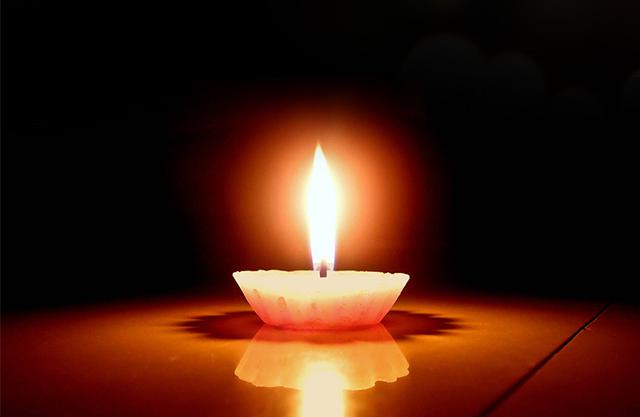 悼念铭记愿花飨逝者春暖斯人