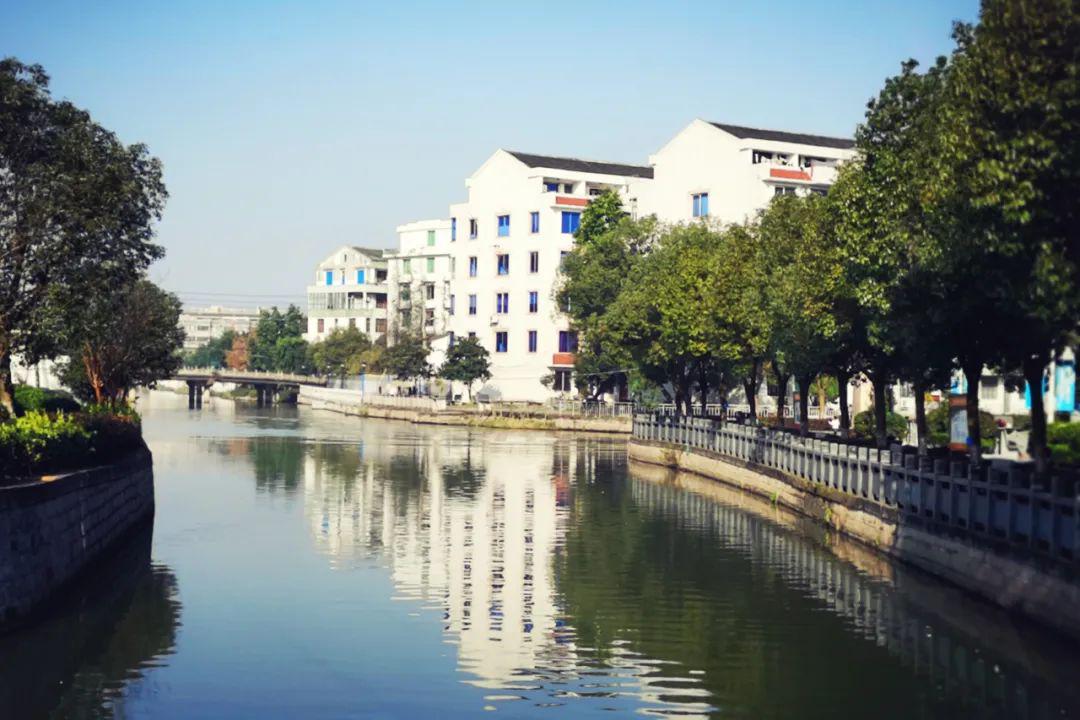 苍南这个镇将打造成"美丽大花园"!_宜山镇