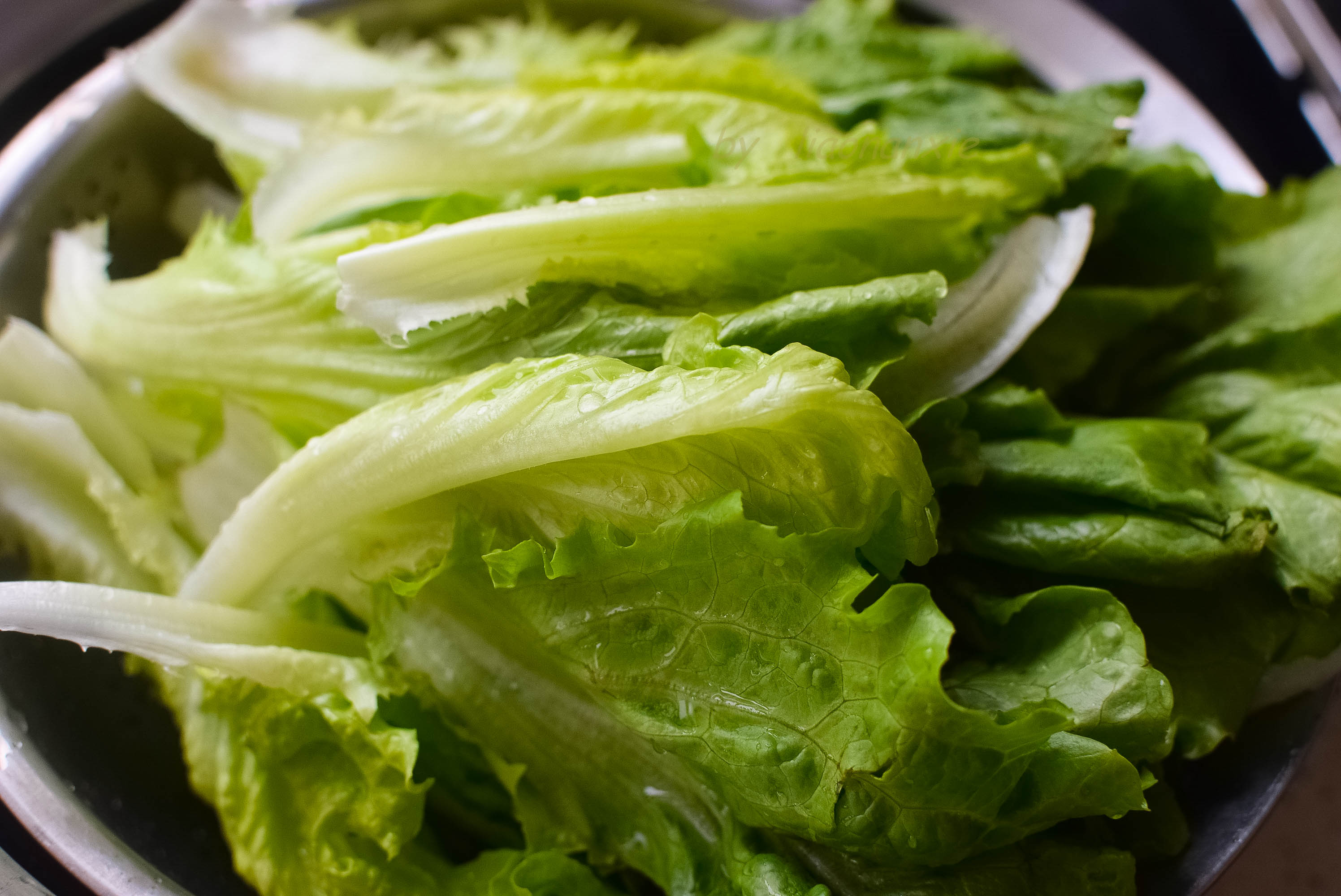 春季最爱吃这菜,热量低,维生素丰富,煮一煮就能上桌,简单好吃_生菜