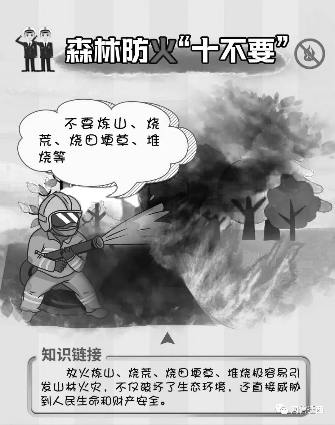 森林防火"十不要"_火灾