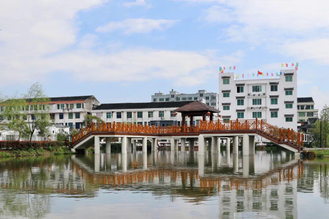 苍南这个镇将打造成"美丽大花园"!_宜山镇