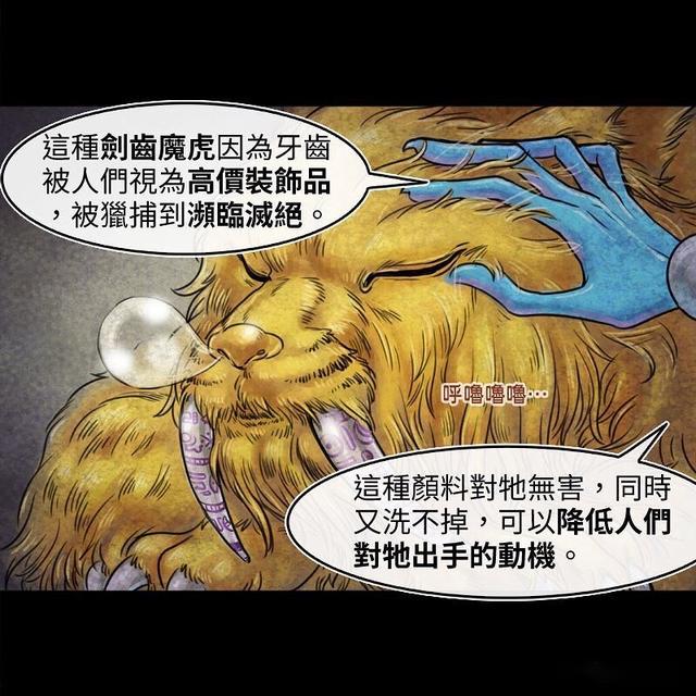 保護劍齒虎從牙齒做起漫畫