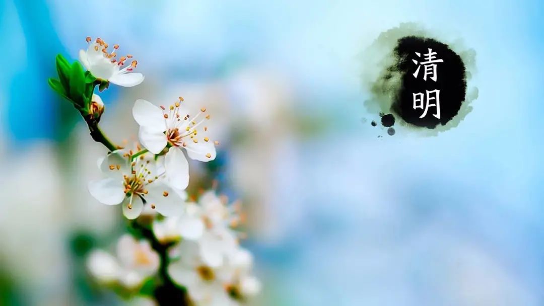 清明节到了你知道清明节的来历吗