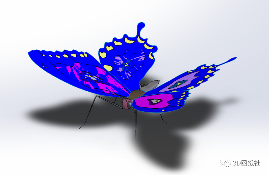 solidworks蝴蝶三维模型