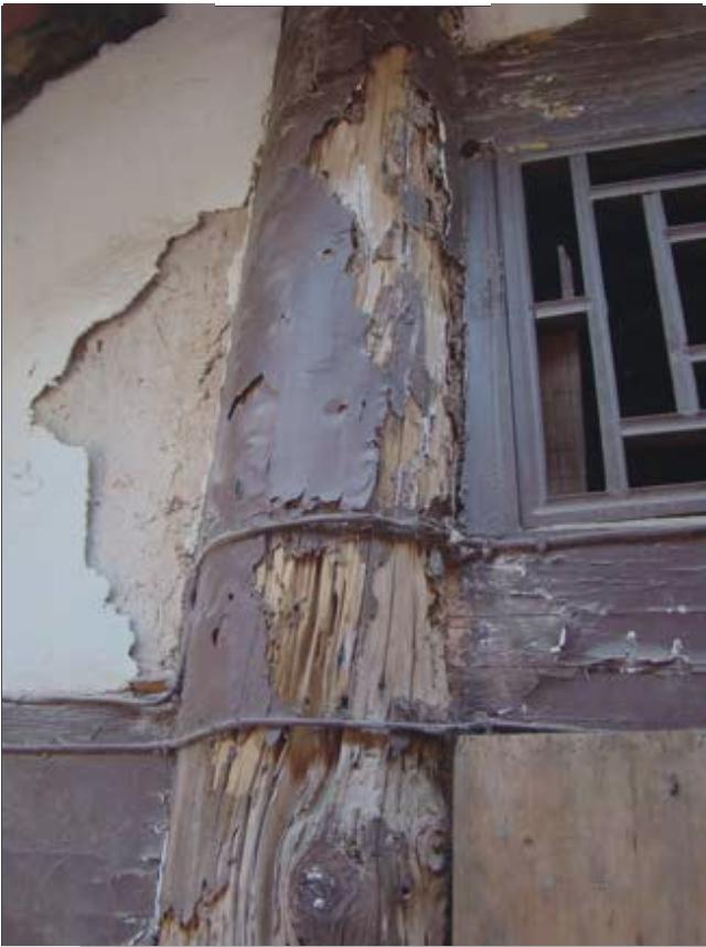 被白蚁危害的墙柱受到白蚁危害后发生垮塌的文物部分
