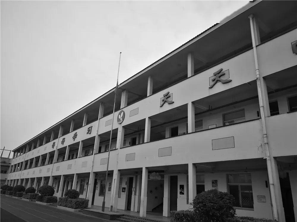 柯桥小学▼▼▼柯桥区中医医院▼▼▼稽东镇▼▼▼平水镇▼▼▼夏履镇