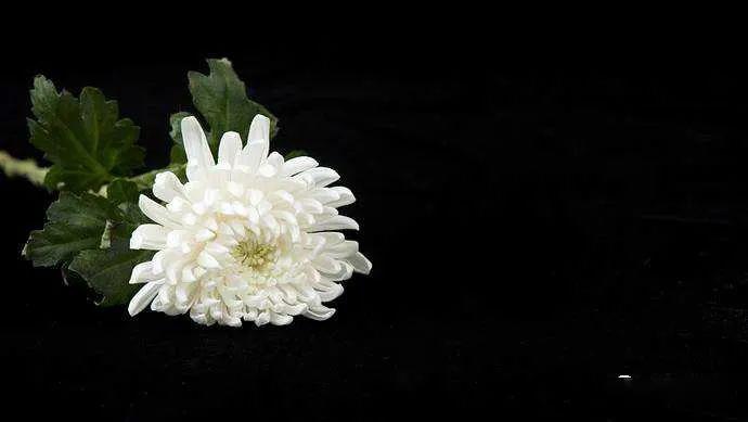 致敬英雄祭奠逝者上午10点普定县降半旗默哀