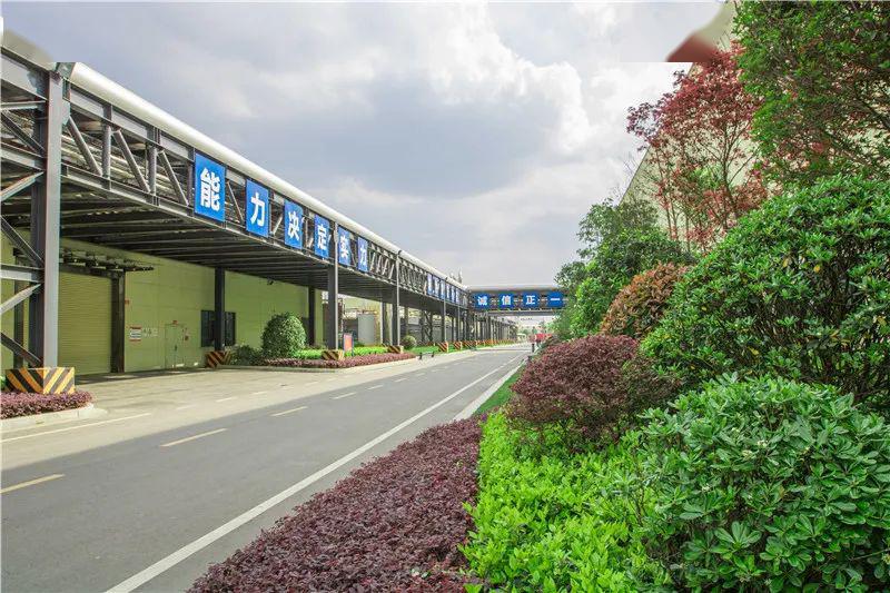 聚焦丨奋斗在春天里感受镜头下的通威太阳能花园式工厂