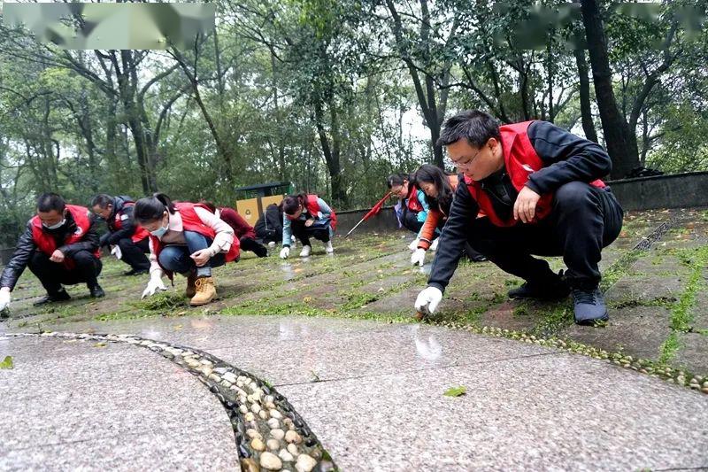 张子清烈士纪念馆图片