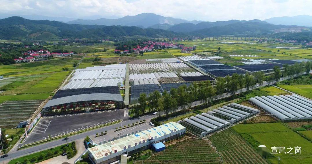 这个小长假,你去了"凤栖小镇"吗?