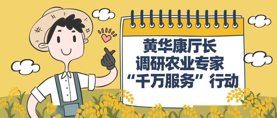 黄华康厅长调研农业专家"千万服务"行动