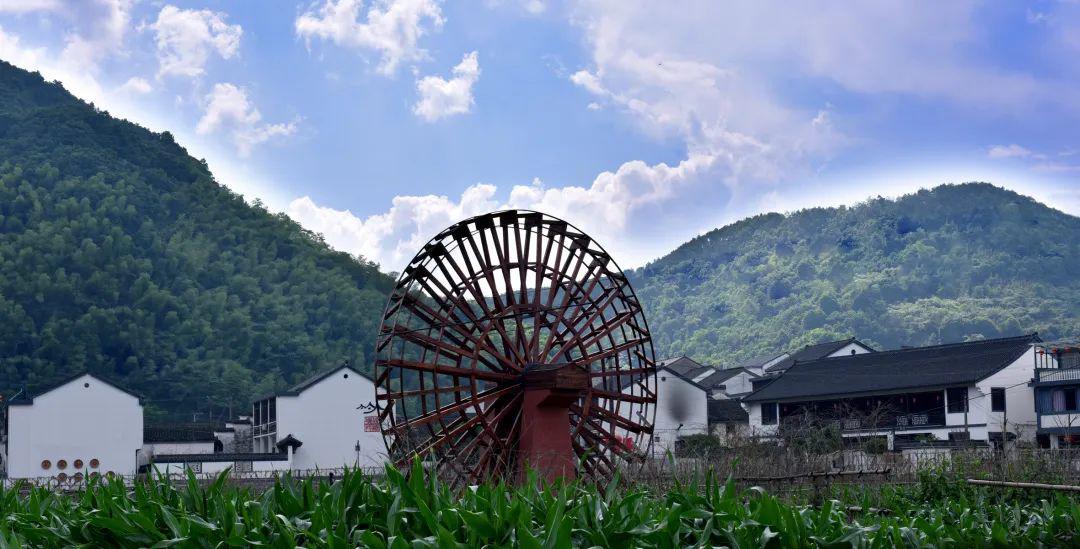 来稽东寻觅春日里的慢时光