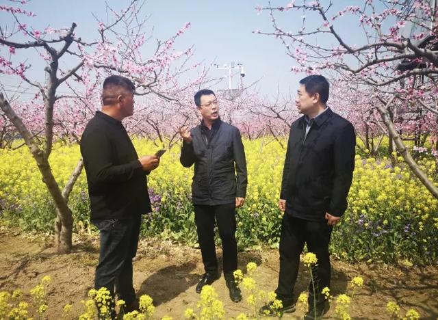 姚勇在学校挂职干部,西华县委常委,副县长周勇以及当地党委,政府有关