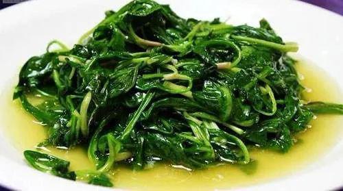 小潮还是最爱吃 清炒的马兰头
