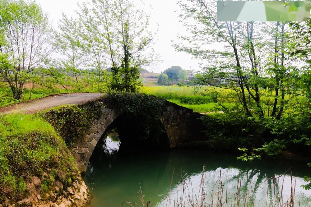 象江河生态旅游景区图片