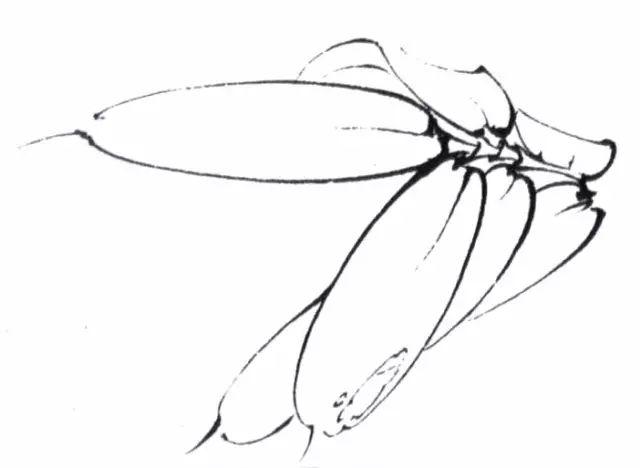 竹枝挺拔,以铁线描为之,骨节处略加顿笔,劲力凸显.