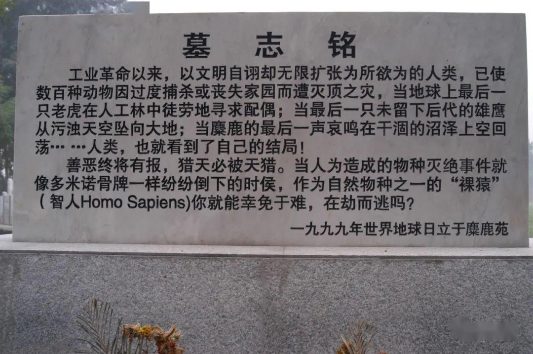 世界灭绝动物墓志铭