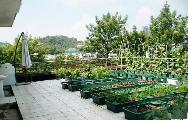 菜园喜欢养花弄草的,可以把露台布置成一个小花园.