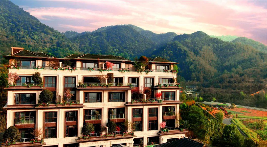 云看房礼相送临安电视台电视购房首站直通状元府