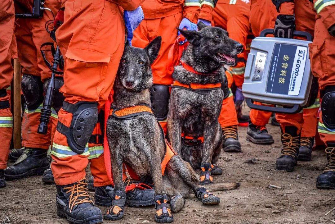 欣赏海量大片来袭天津消防地震救援拉动演练精彩瞬间