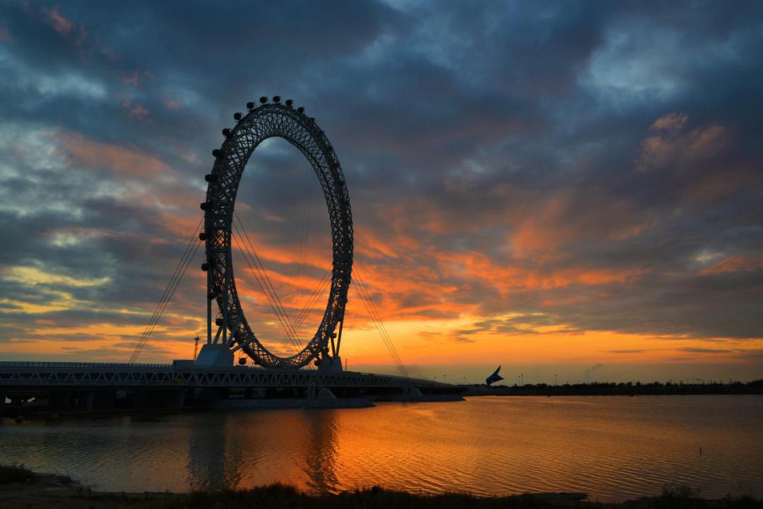 "疫"散花开,云享"潍"美(四十八)_潍坊