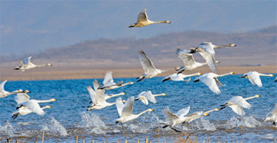 400_207gif 动态图 动图