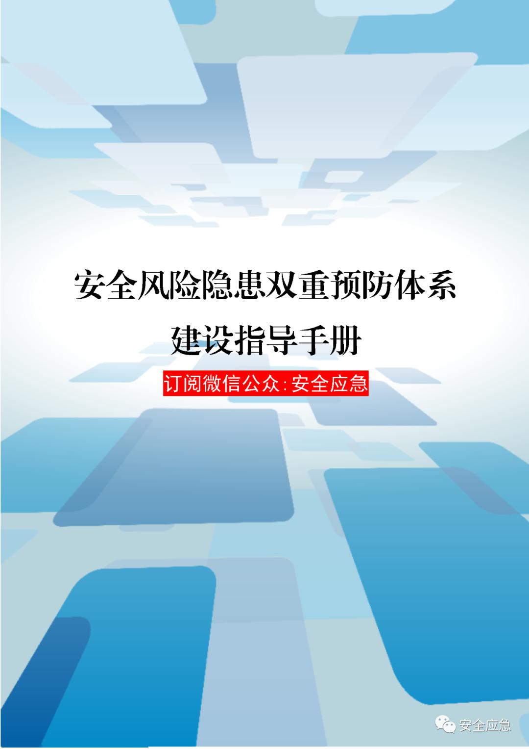 word63万字安全风险隐患双重预防体系建设指导手册可下载编辑直接使用