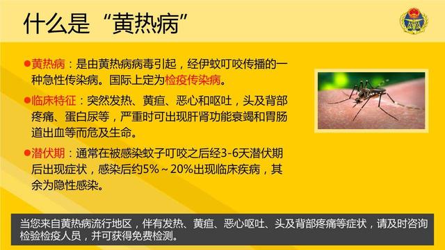 这场灭顶之灾就是黄热病.