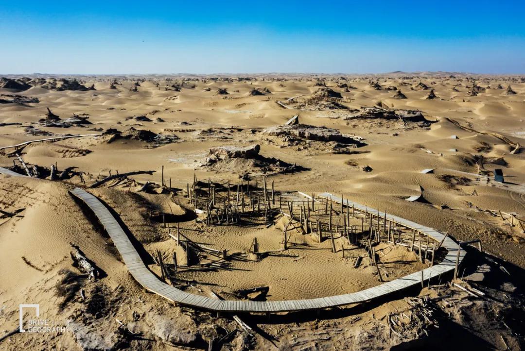 原创像探险家一样穿越塔克拉玛干大沙漠,你会遇见什么?